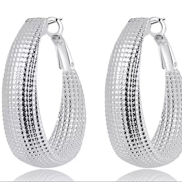 SILVER FASHION HOOP EARRINGS - Picture 1 of 1